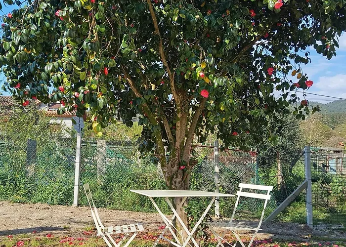 Alvarino Apartamento, Tradiccion Y Modernidad Apartmán *